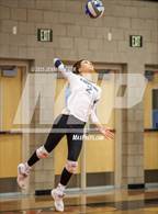 Photo from the gallery "Amplus Academy @ Desert Oasis"