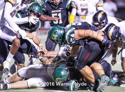 Thumbnail 1 in Wilcox @ Monterey Trail photogallery.