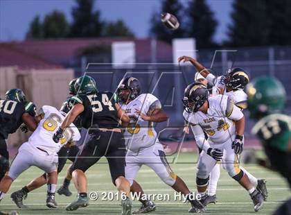 Thumbnail 2 in Wilcox @ Monterey Trail photogallery.