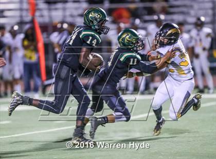 Thumbnail 1 in Wilcox @ Monterey Trail photogallery.