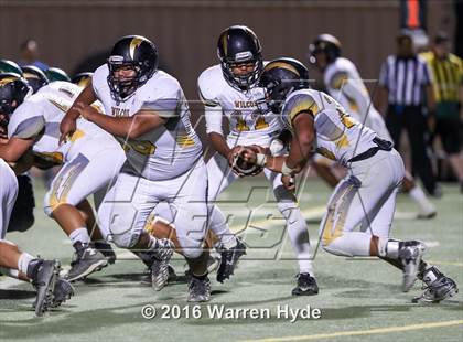Thumbnail 1 in Wilcox @ Monterey Trail photogallery.