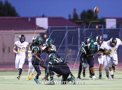 Thumbnail 1 in Wilcox @ Monterey Trail photogallery.