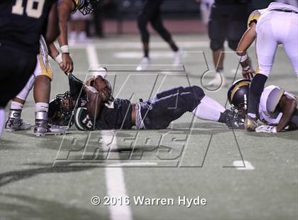 Thumbnail 1 in Wilcox @ Monterey Trail photogallery.