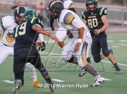 Thumbnail 1 in Wilcox @ Monterey Trail photogallery.