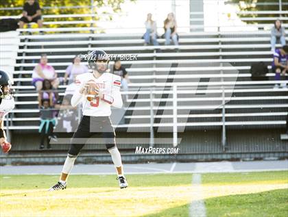 Thumbnail 3 in Modesto @ Johansen photogallery.