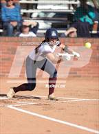 Photo from the gallery "St. Thomas More @ Kaplan"