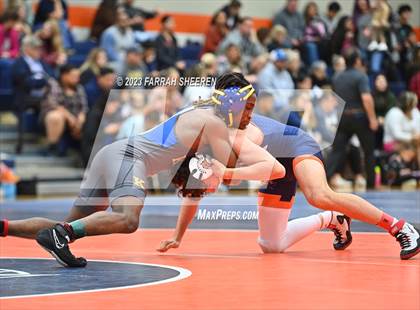 Thumbnail 2 in Klein @ Seven Lakes photogallery.
