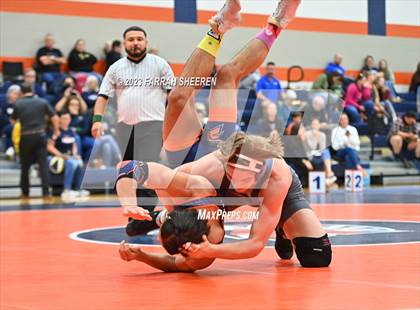 Thumbnail 1 in Klein @ Seven Lakes photogallery.