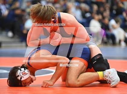 Thumbnail 2 in Klein @ Seven Lakes photogallery.