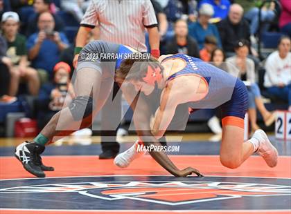 Thumbnail 1 in Klein @ Seven Lakes photogallery.