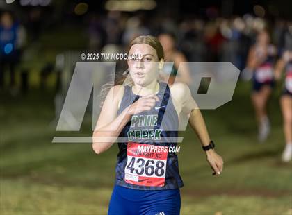 Thumbnail 1 in Desert Twilight XC photogallery.