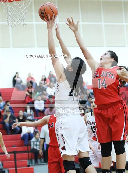 Thumbnail 2 in La Joya @ Palmview photogallery.