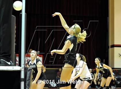 Thumbnail 1 in Wiregrass Ranch @ Pasco photogallery.