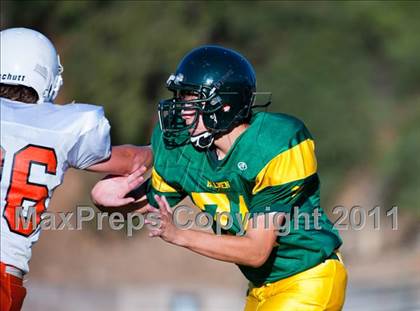 Thumbnail 2 in Woodland @ Placer photogallery.