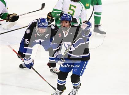 Thumbnail 1 in Darien vs. Notre Dame, WH (CIAC D1 Final) photogallery.