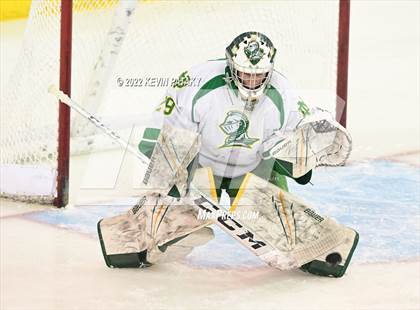 Thumbnail 1 in Darien vs. Notre Dame, WH (CIAC D1 Final) photogallery.