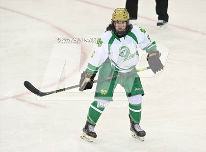 Thumbnail 3 in Darien vs. Notre Dame, WH (CIAC D1 Final) photogallery.