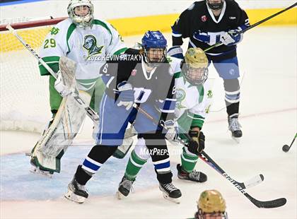 Thumbnail 1 in Darien vs. Notre Dame, WH (CIAC D1 Final) photogallery.