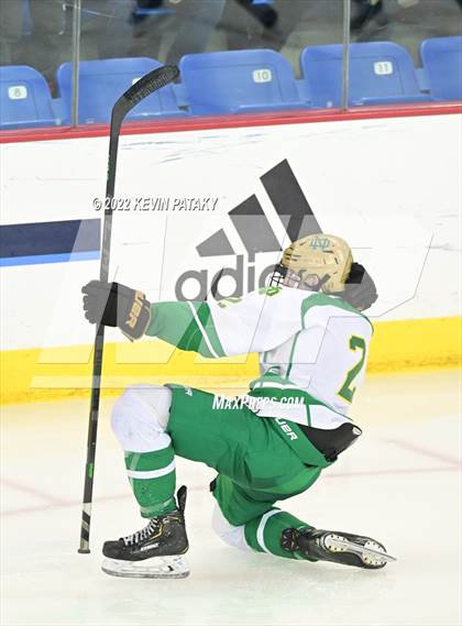 Thumbnail 1 in Darien vs. Notre Dame, WH (CIAC D1 Final) photogallery.