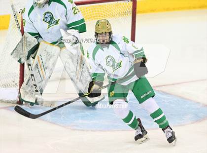 Thumbnail 2 in Darien vs. Notre Dame, WH (CIAC D1 Final) photogallery.