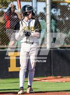 Photo from the gallery "Douglas @ Galena"