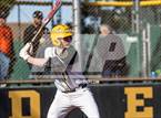 Photo from the gallery "Douglas @ Galena"