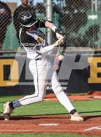 Photo from the gallery "Douglas @ Galena"