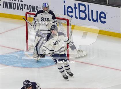 Thumbnail 1 in St. John's Prep vs Winchester (MIAA Division 1 Final) photogallery.