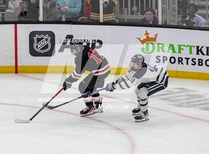Thumbnail 1 in St. John's Prep vs Winchester (MIAA Division 1 Final) photogallery.