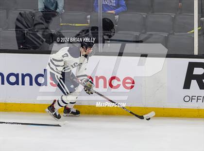 Thumbnail 1 in St. John's Prep vs Winchester (MIAA Division 1 Final) photogallery.