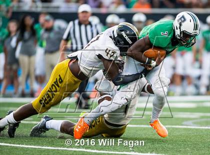 Thumbnail 2 in Colquitt County @ Roswell photogallery.