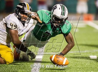 Thumbnail 1 in Colquitt County @ Roswell photogallery.