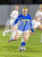 Photo from the gallery "Redwood @ Newark Memorial"