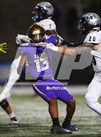 Photo from the gallery "Madison @ St. Augustine"