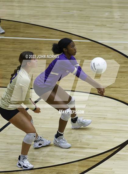 Thumbnail 2 in Leo @ New Haven photogallery.