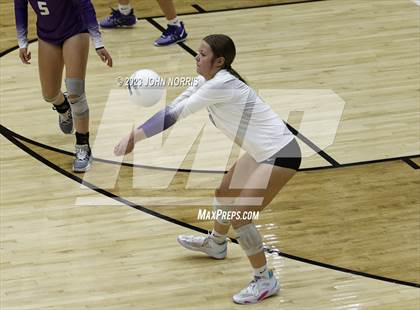 Thumbnail 2 in Leo @ New Haven photogallery.