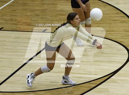 Thumbnail 2 in Leo @ New Haven photogallery.