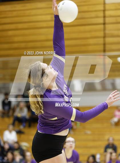 Thumbnail 3 in Leo @ New Haven photogallery.