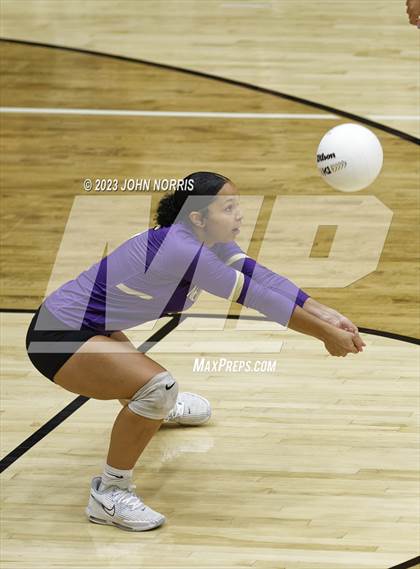 Thumbnail 2 in Leo @ New Haven photogallery.