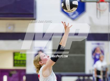 Thumbnail 1 in Fort Wayne Snider vs. Wapahani (Leo Invite) photogallery.