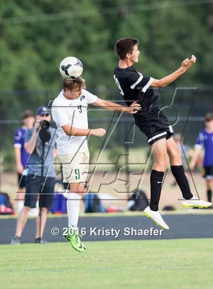 Thumbnail 2 in Green Hope @ Cardinal Gibbons photogallery.