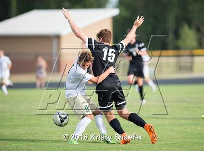 Thumbnail 2 in Green Hope @ Cardinal Gibbons photogallery.