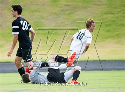 Thumbnail 2 in Green Hope @ Cardinal Gibbons photogallery.