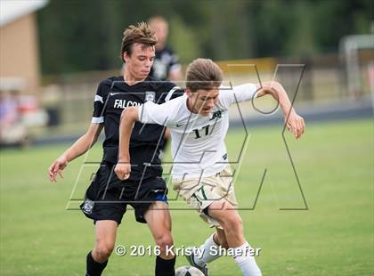 Thumbnail 2 in Green Hope @ Cardinal Gibbons photogallery.