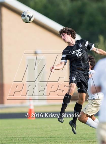 Thumbnail 2 in Green Hope @ Cardinal Gibbons photogallery.