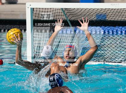 Thumbnail 2 in Davis Sr. vs. Portola photogallery.