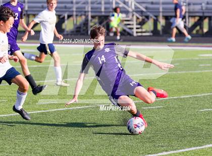 Thumbnail 1 in Norwell @ Leo photogallery.