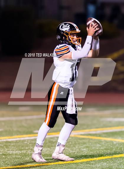 Thumbnail 3 in Los Gatos @ Milpitas photogallery.