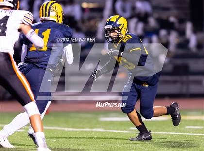 Thumbnail 2 in Los Gatos @ Milpitas photogallery.