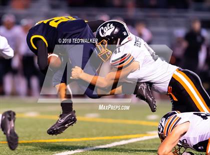 Thumbnail 1 in Los Gatos @ Milpitas photogallery.